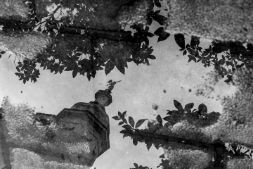 Angel-en-charco