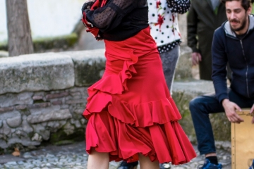 Flamenco_3