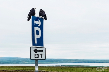 Parking-de-Cuervos