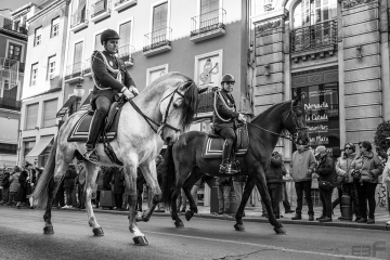 Policía a caballo