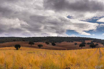 Paisaje_Huelma