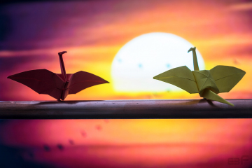 Pajaritas_Puesta_Sol