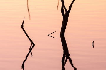 Reflejos_Pantano_1