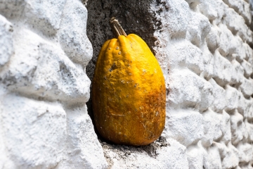 Calabaza-Alpujarra