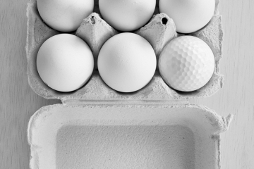 Carton_de_huevos