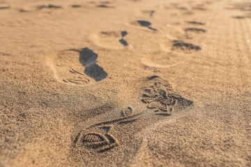 Huellas_Sandalias